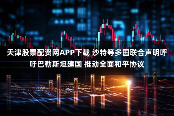 天津股票配资网APP下载 沙特等多国联合声明呼吁巴勒斯坦建国 推动全面和平协议