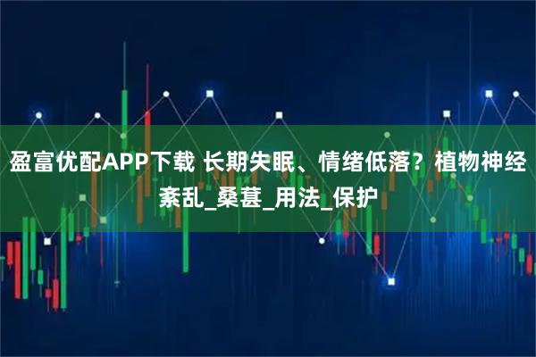 盈富优配APP下载 长期失眠、情绪低落？植物神经紊乱_桑葚_用法_保护
