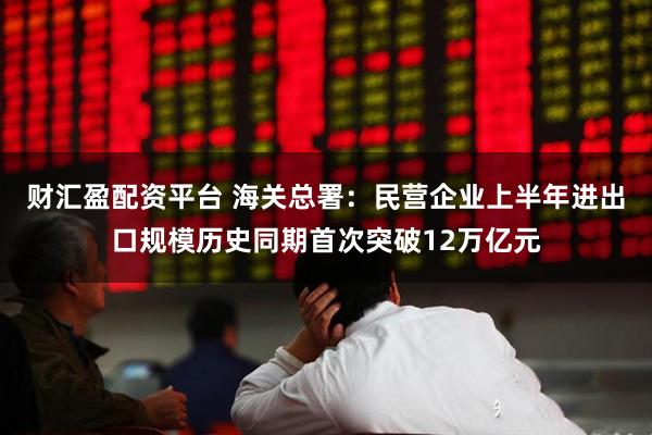 财汇盈配资平台 海关总署：民营企业上半年进出口规模历史同期首次突破12万亿元