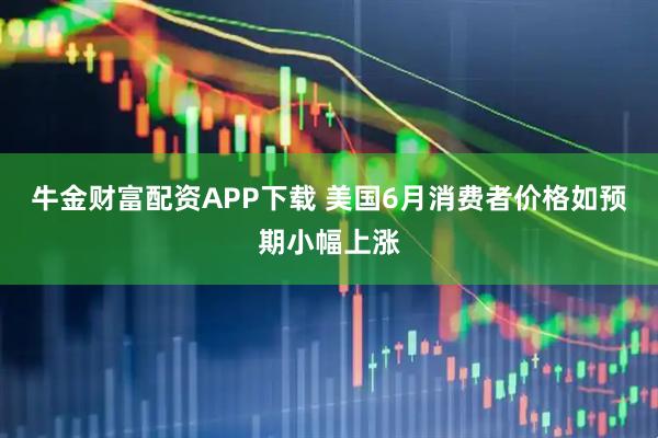 牛金财富配资APP下载 美国6月消费者价格如预期小幅上涨